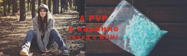 ешки Дмитриев