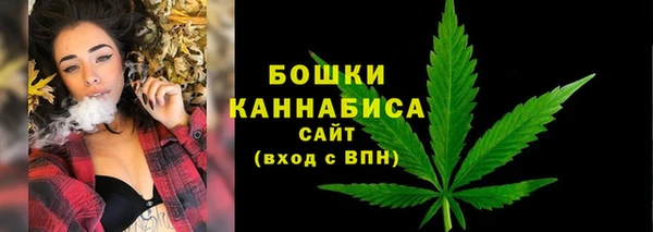 ПСИЛОЦИБИНОВЫЕ ГРИБЫ Дмитров