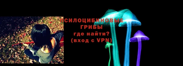 ешки Дмитриев