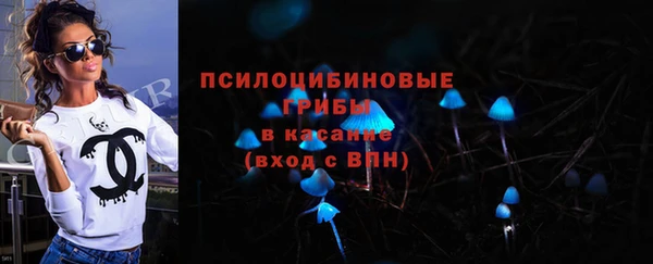 ПСИЛОЦИБИНОВЫЕ ГРИБЫ Дмитров