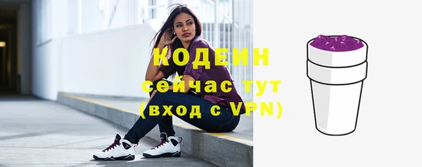 ешки Дмитриев