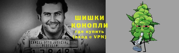 ПСИЛОЦИБИНОВЫЕ ГРИБЫ Дмитров