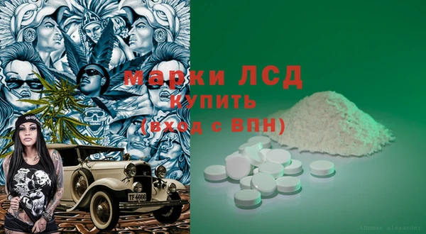 ПСИЛОЦИБИНОВЫЕ ГРИБЫ Дмитров