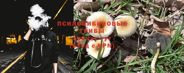 ПСИЛОЦИБИНОВЫЕ ГРИБЫ Дмитров