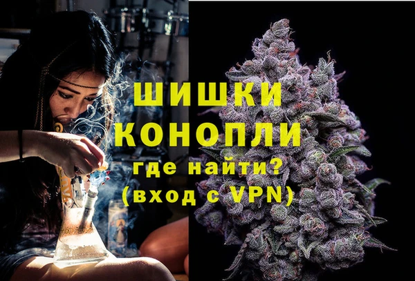 ПСИЛОЦИБИНОВЫЕ ГРИБЫ Дмитров