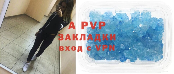 ПСИЛОЦИБИНОВЫЕ ГРИБЫ Дмитров
